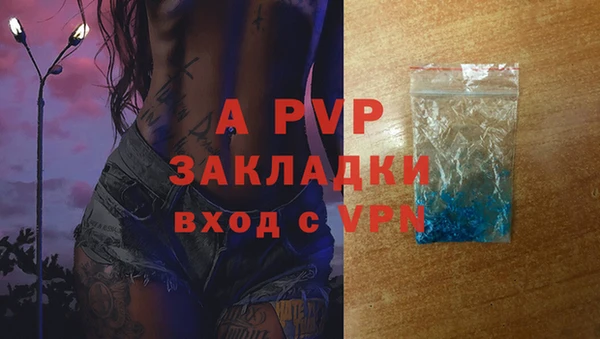 apvp Няндома